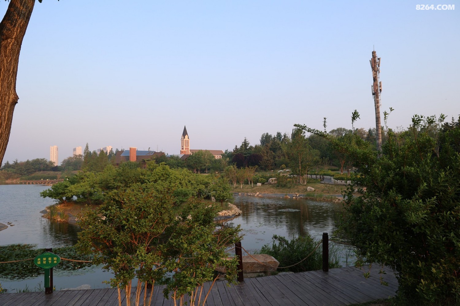 8P5A0030.JPG