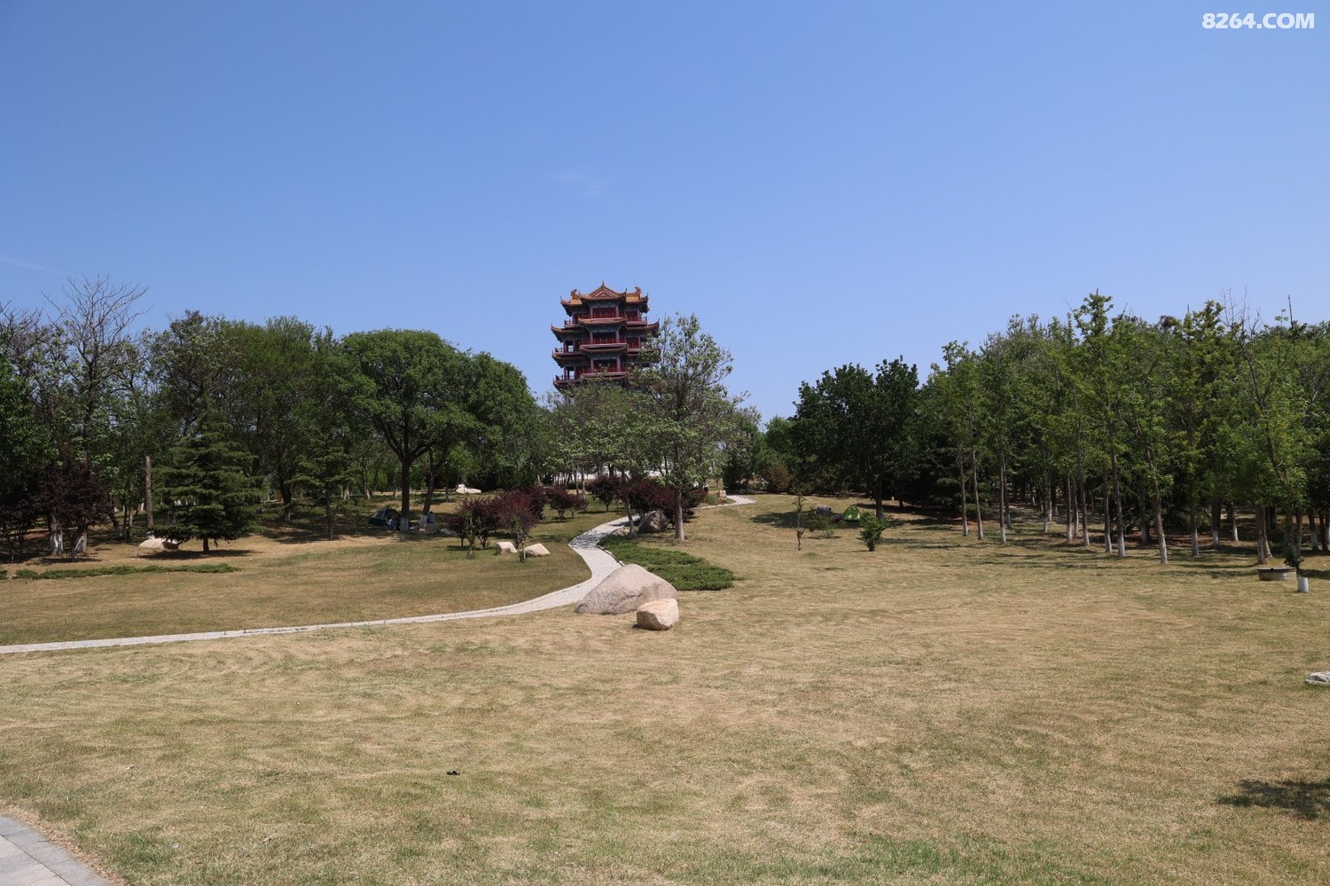 8P5A0049.JPG
