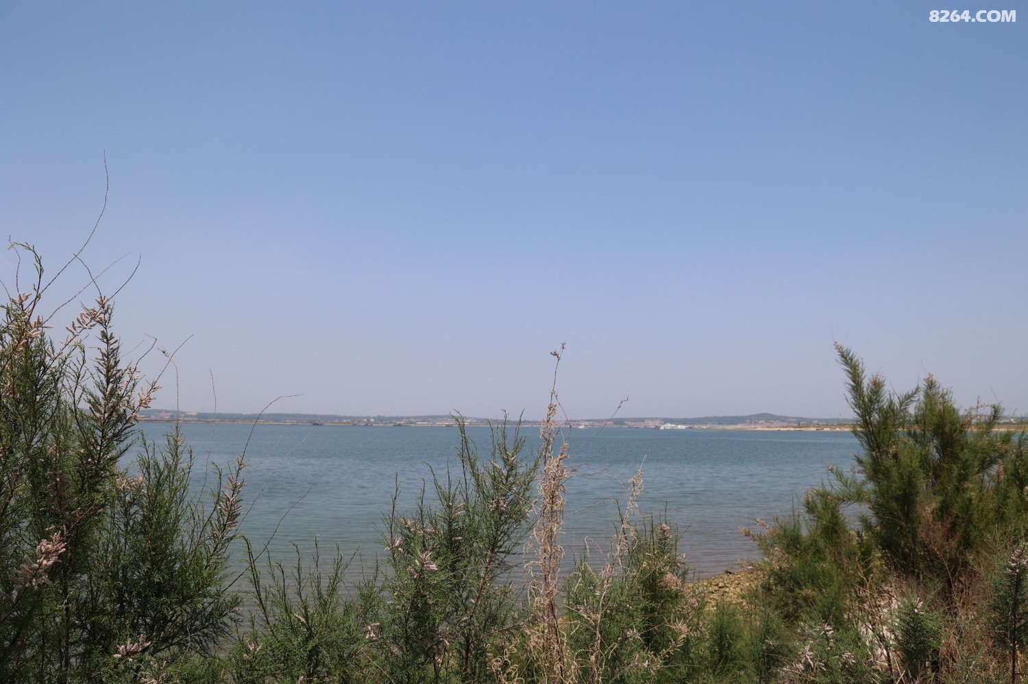 8P5A0074.JPG