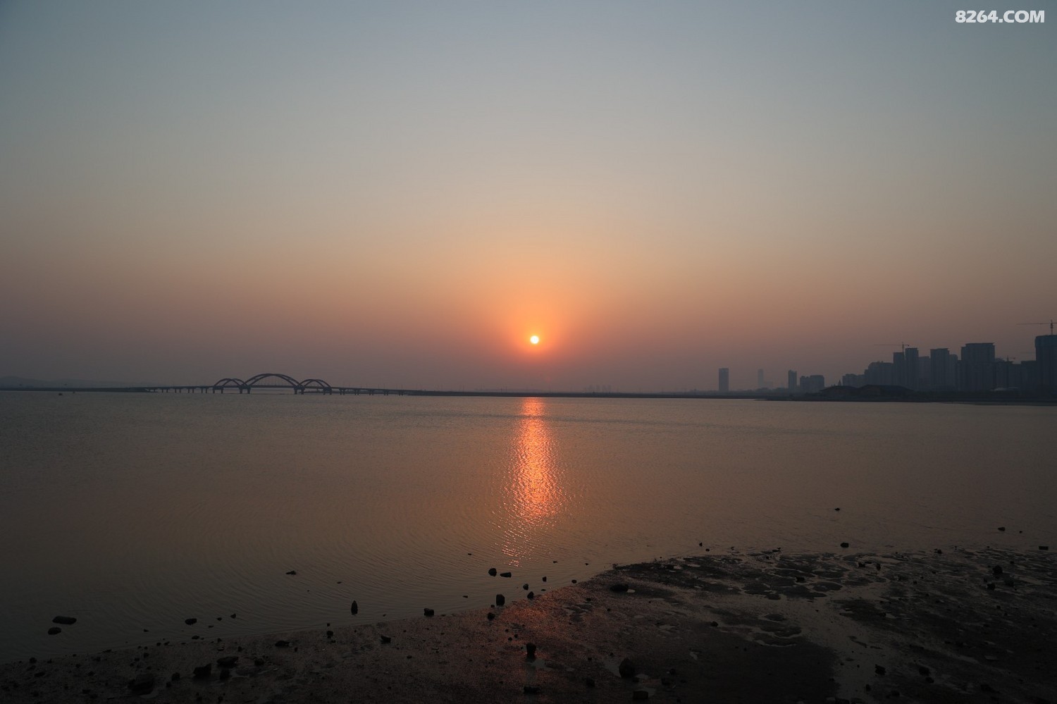 8P5A0004.JPG