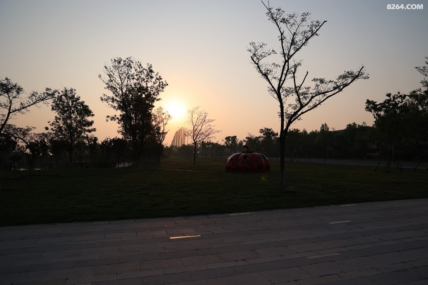8P5A0035.JPG