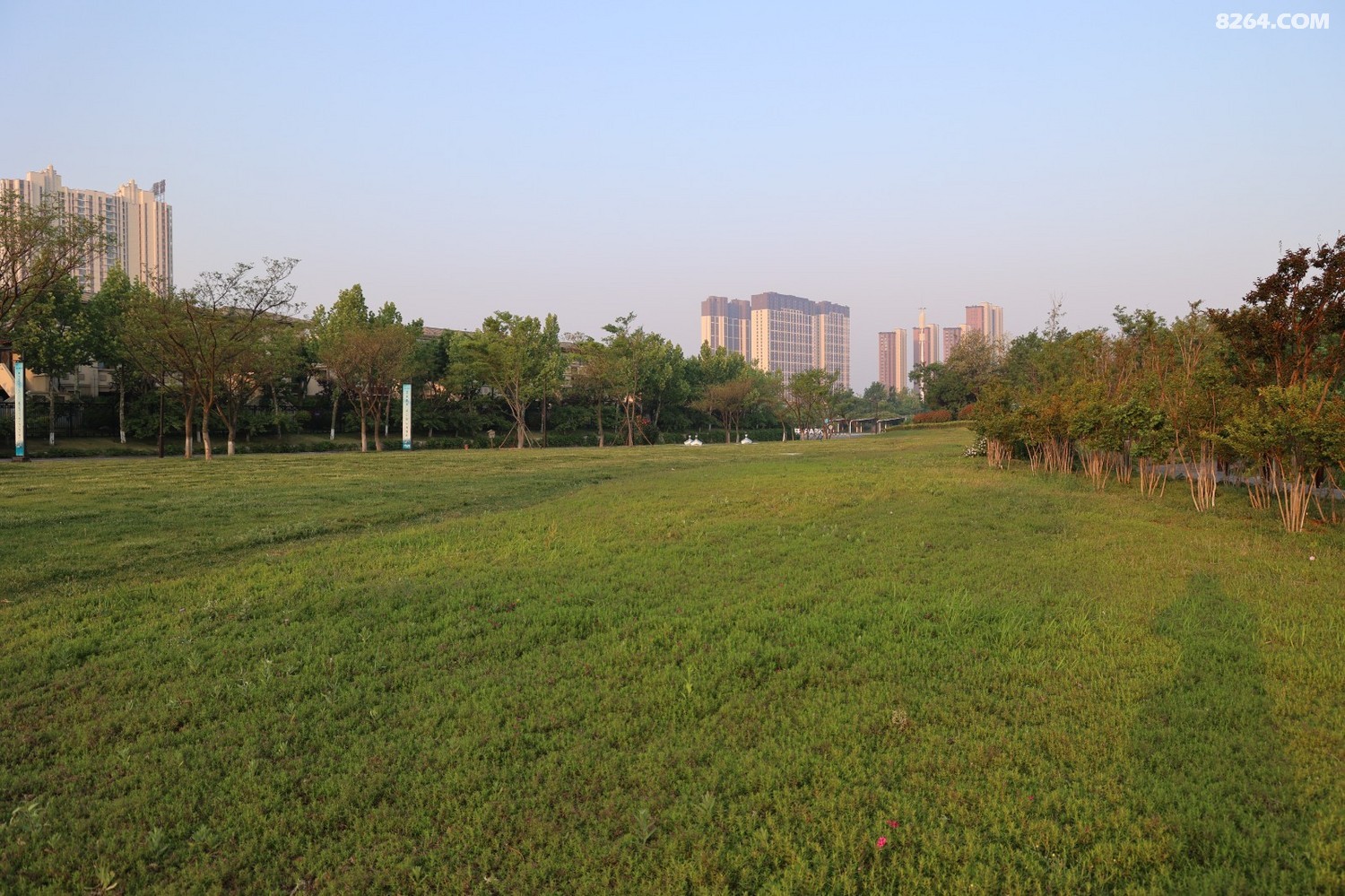 8P5A0040.JPG