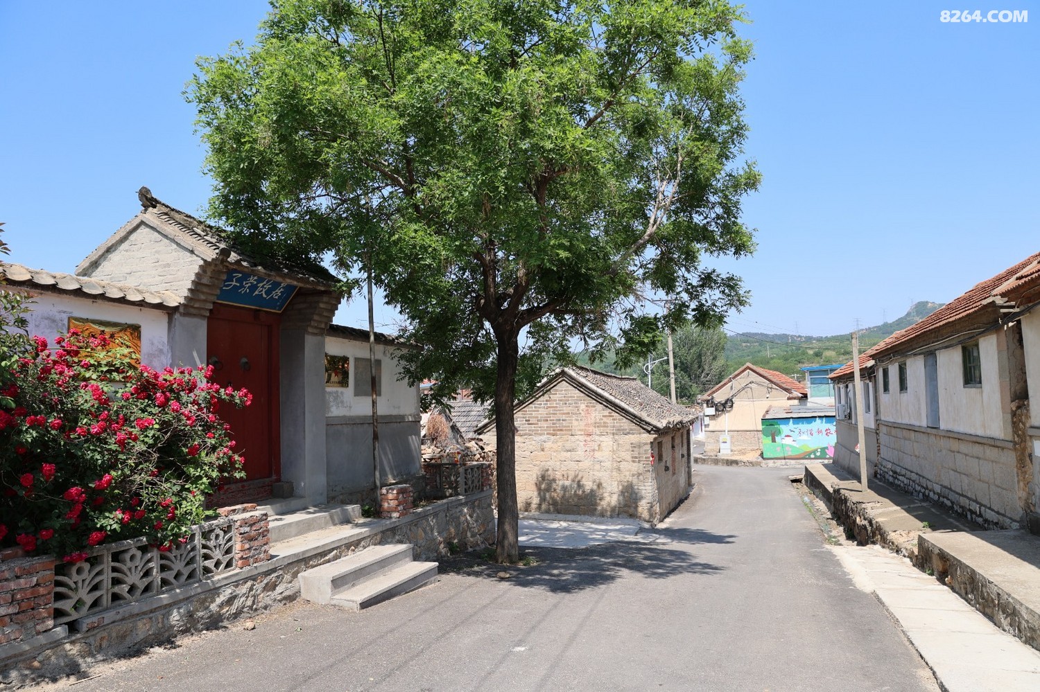 8P5A0170.JPG