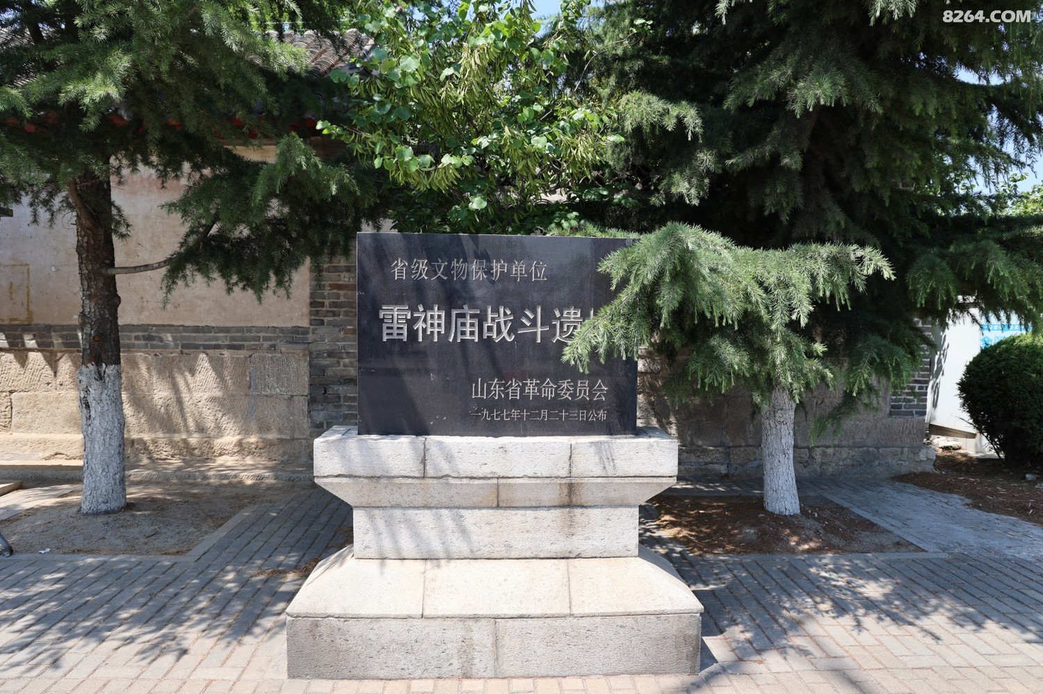 8P5A0153.JPG