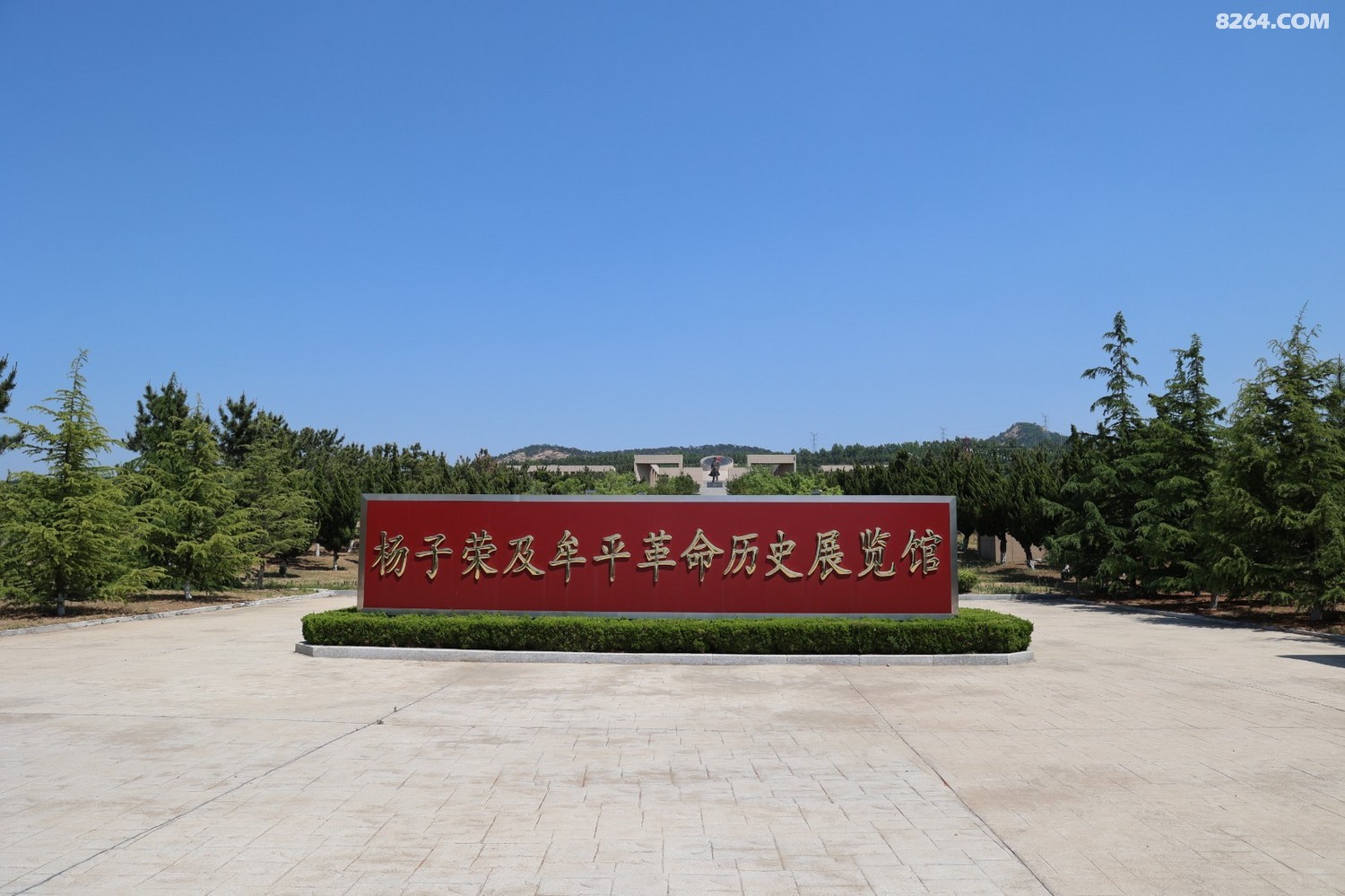 8P5A0156.JPG