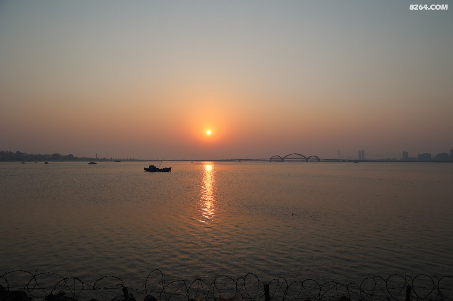 8P5A0010.JPG