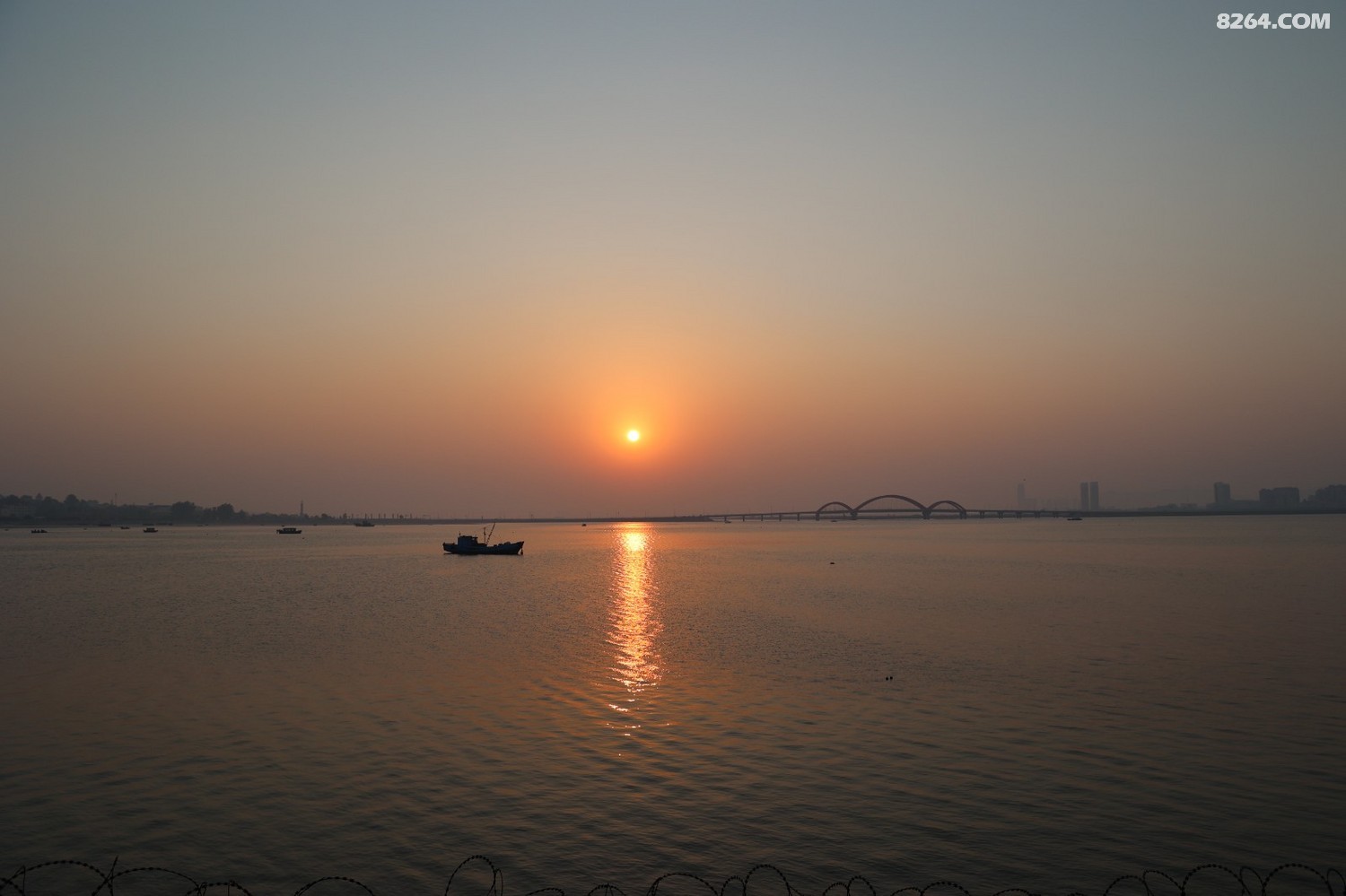 8P5A0012.JPG