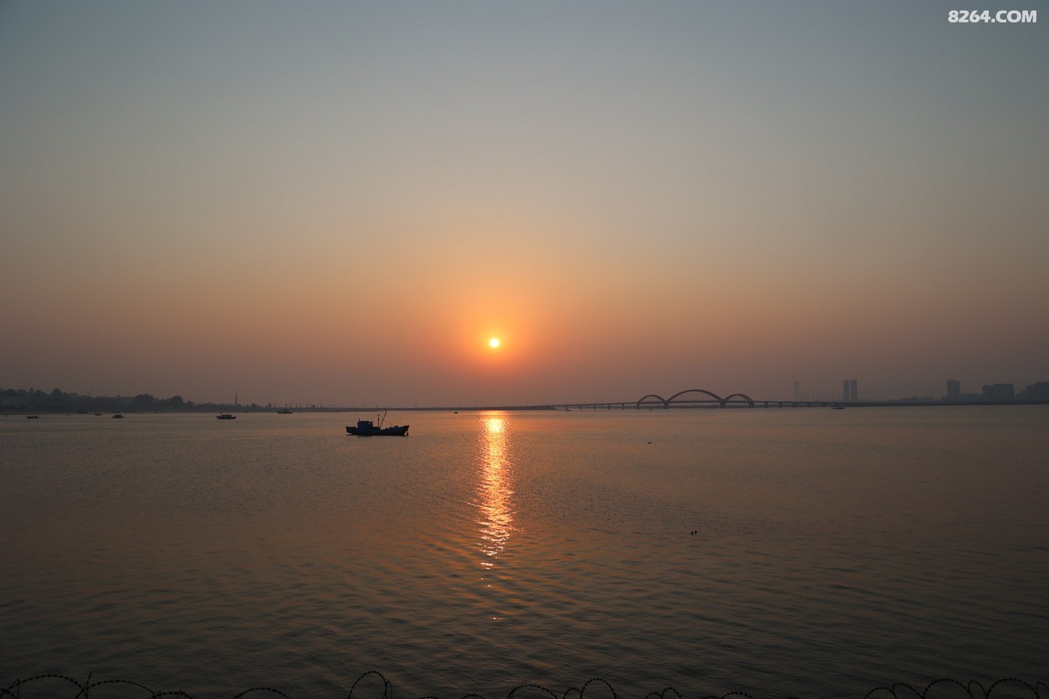 8P5A0011.JPG