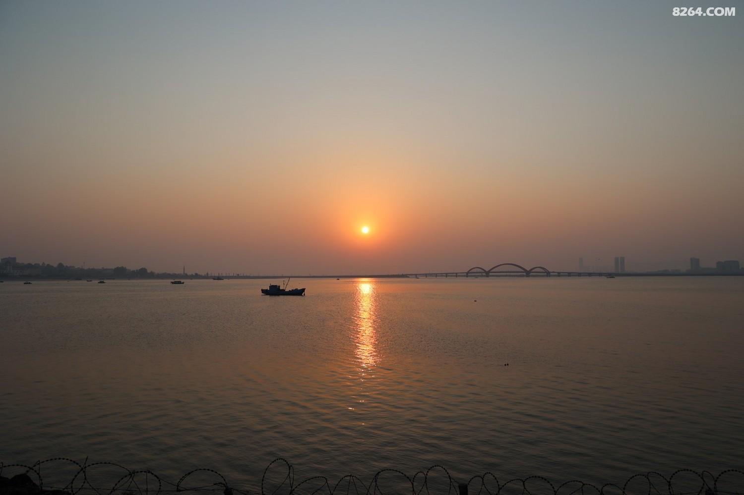 8P5A0013.JPG