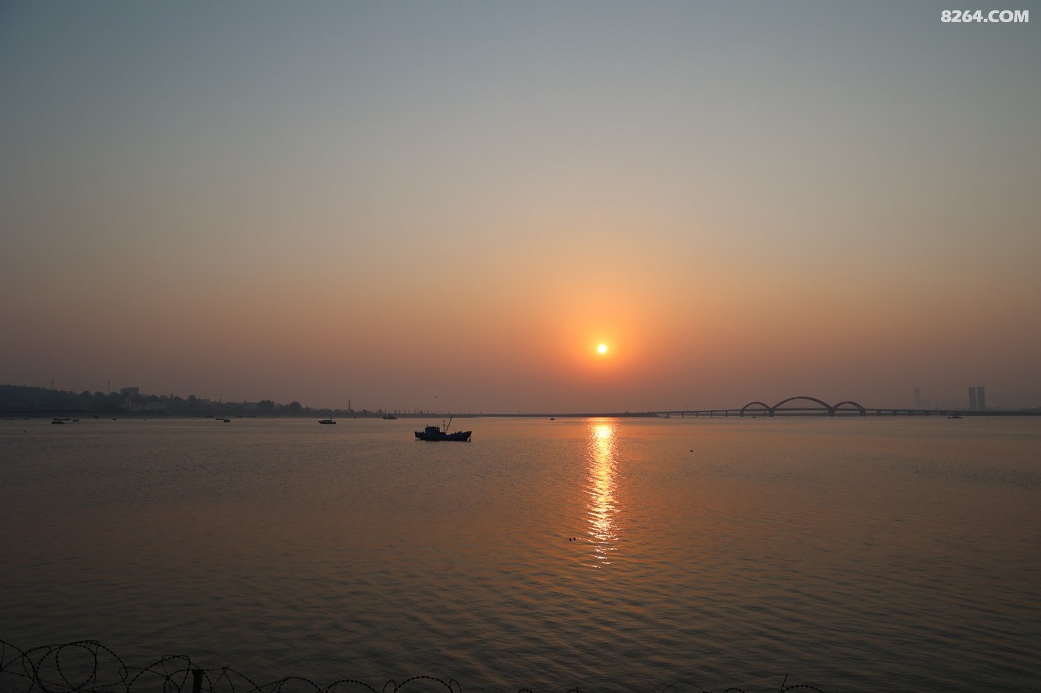 8P5A0014.JPG