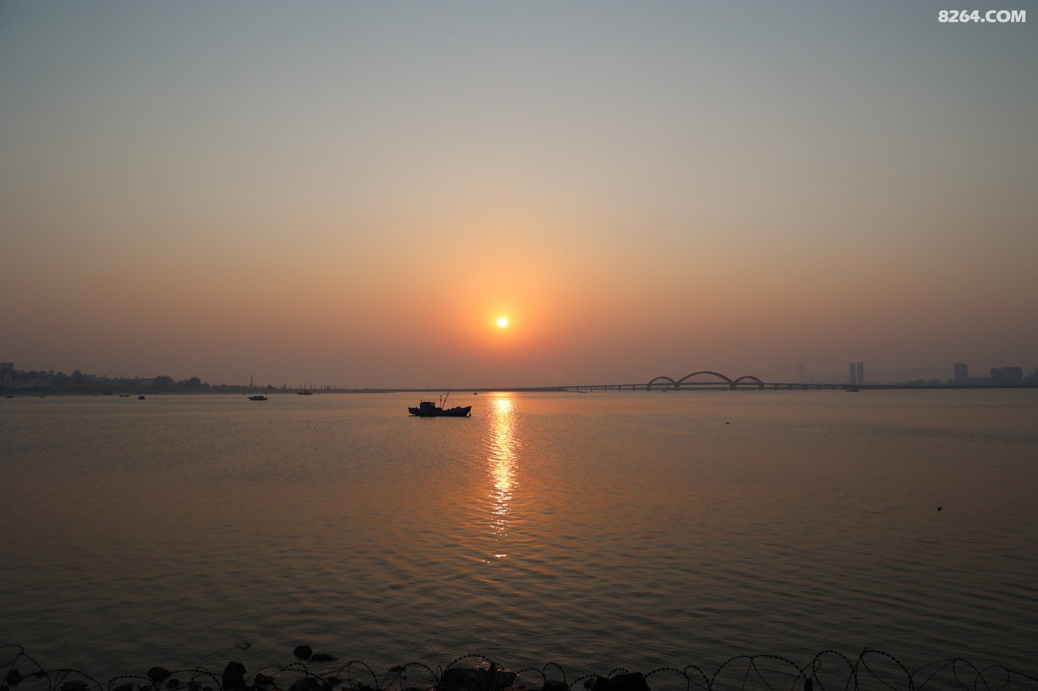 8P5A0017.JPG