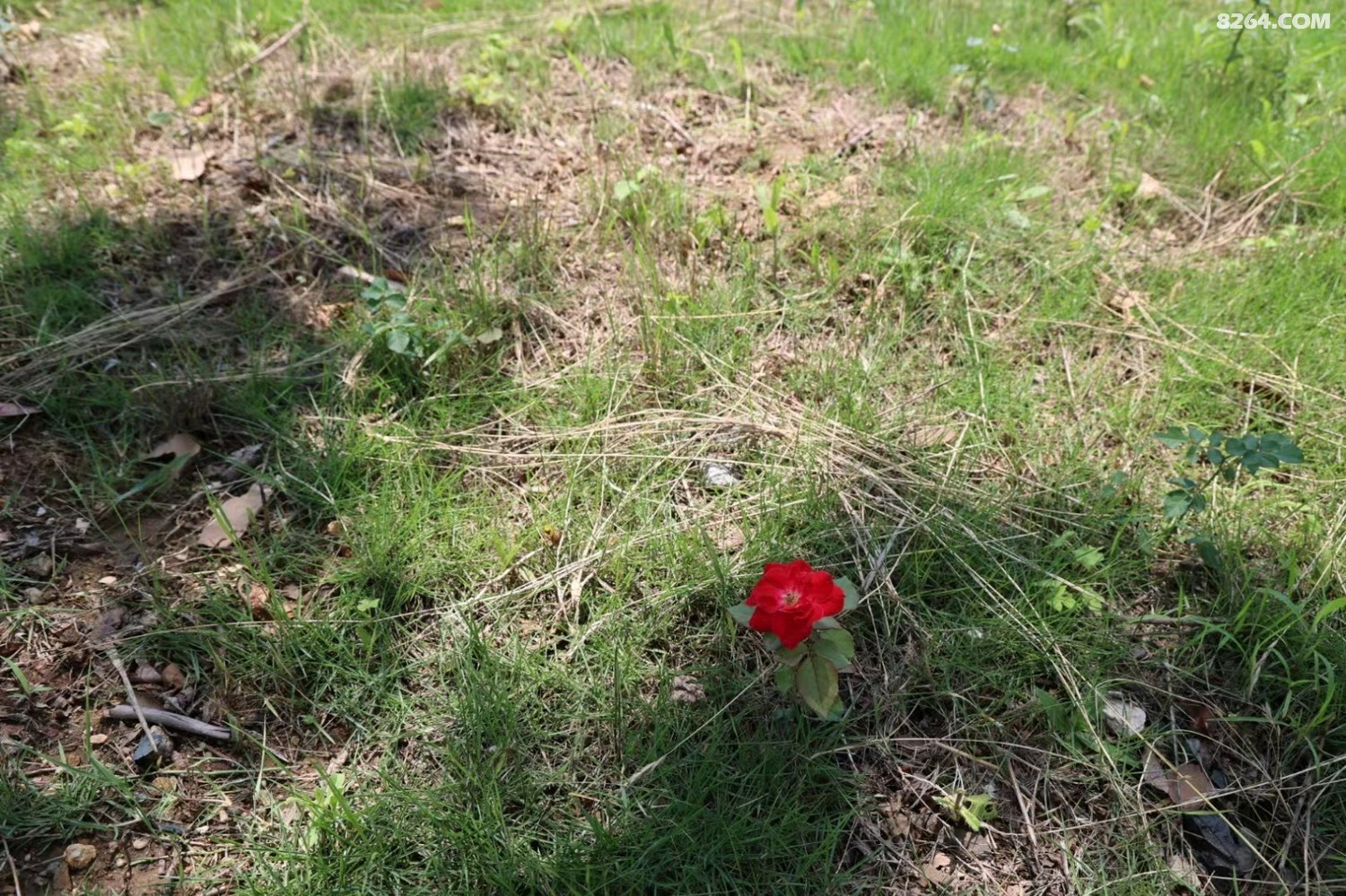 ΢��ͼƬ_20220702122149.jpg
