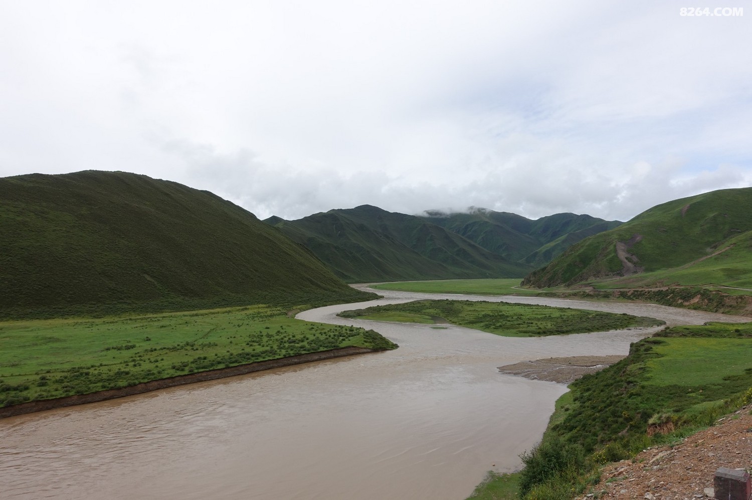 DSC09019.JPG