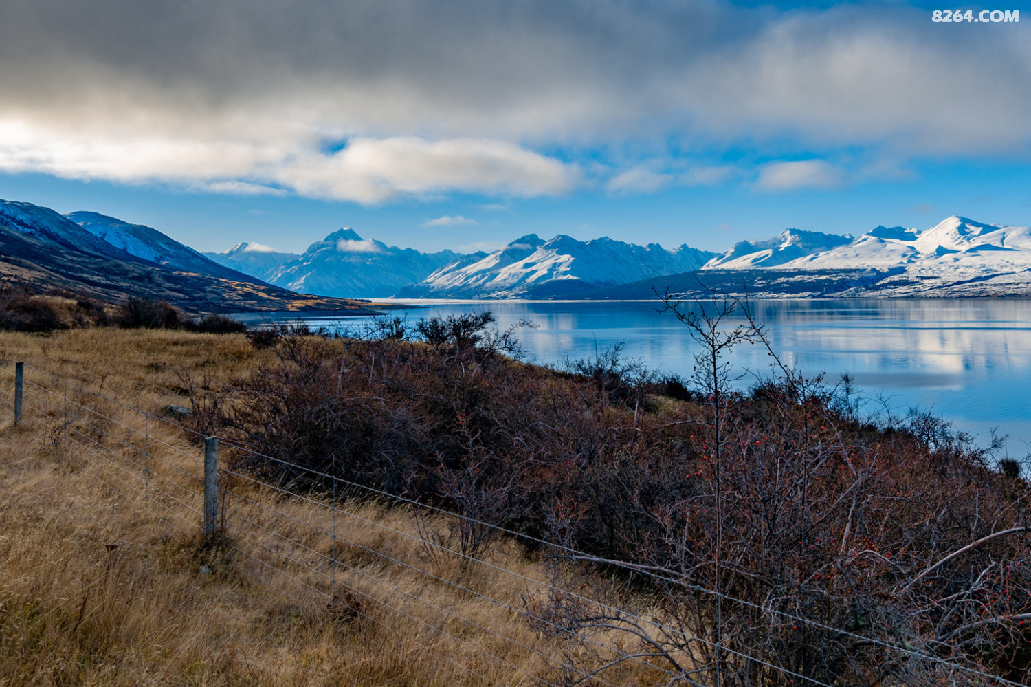 AAA_5176-2.jpg