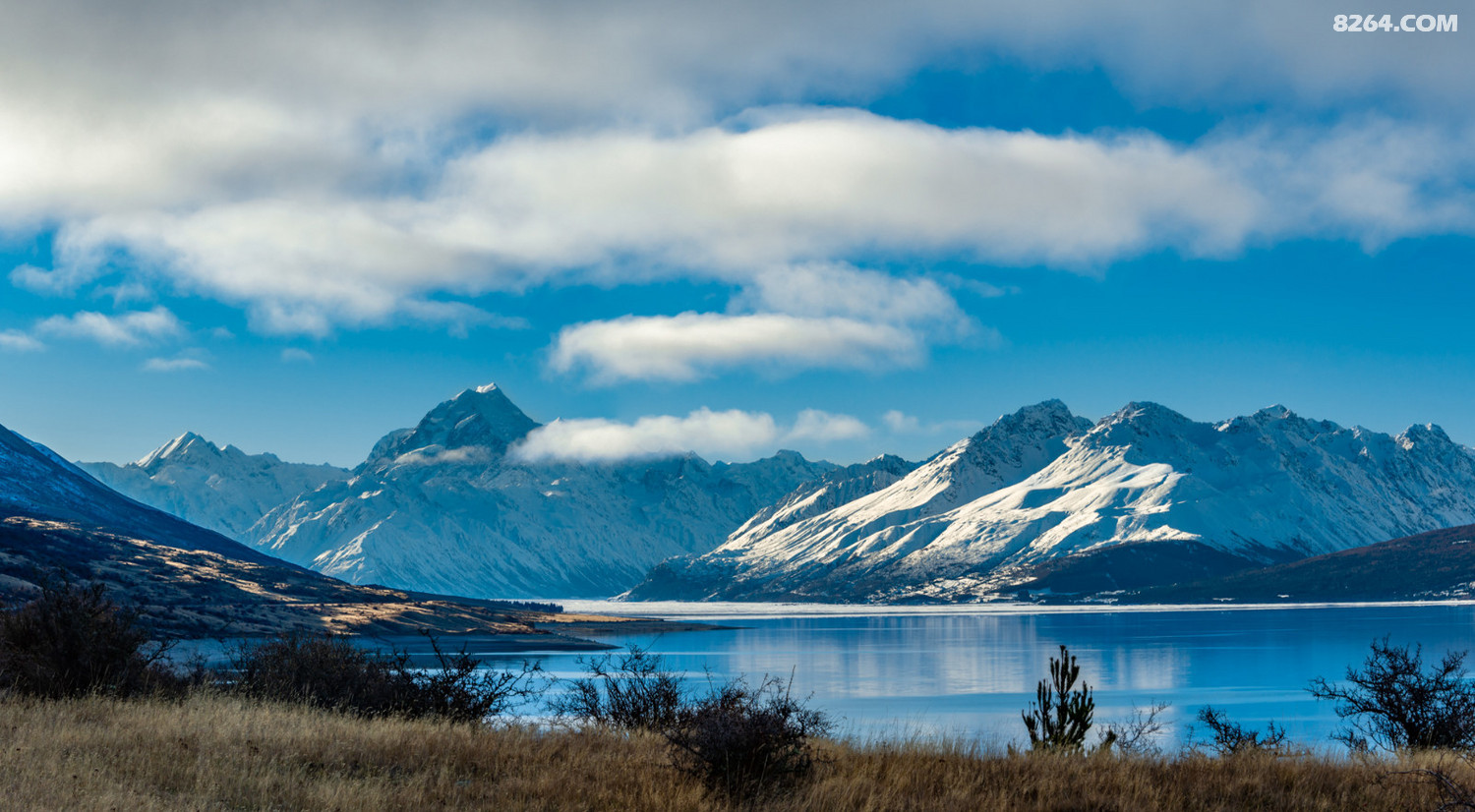 AAA_5180-Pano.jpg