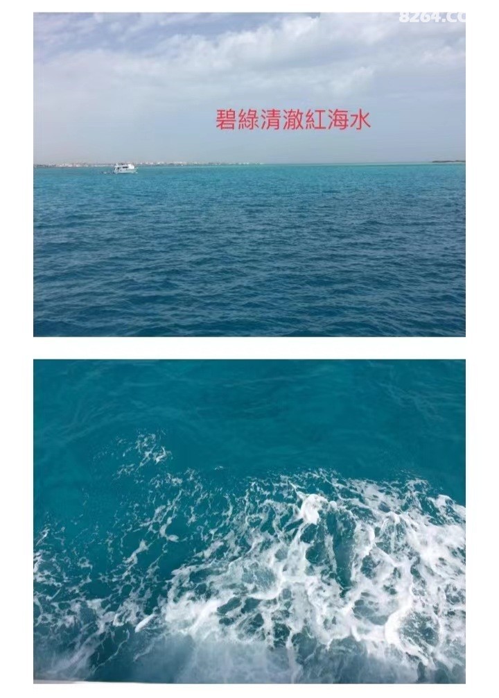 ΢��ͼƬ_20220729181458.jpg