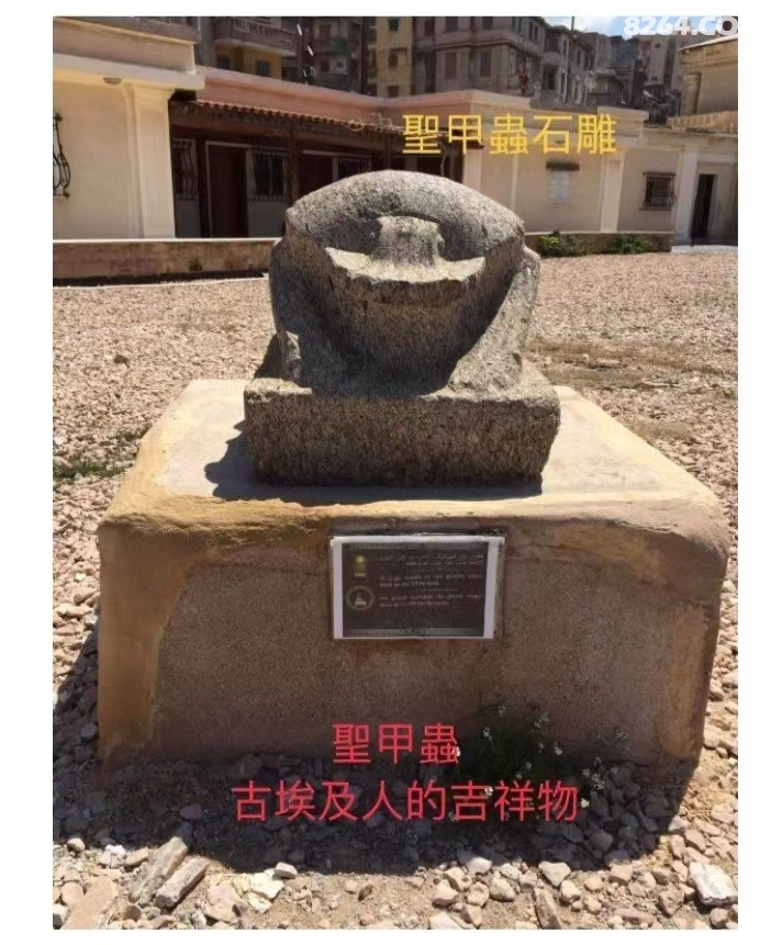 ΢��ͼƬ_20220729181753.jpg