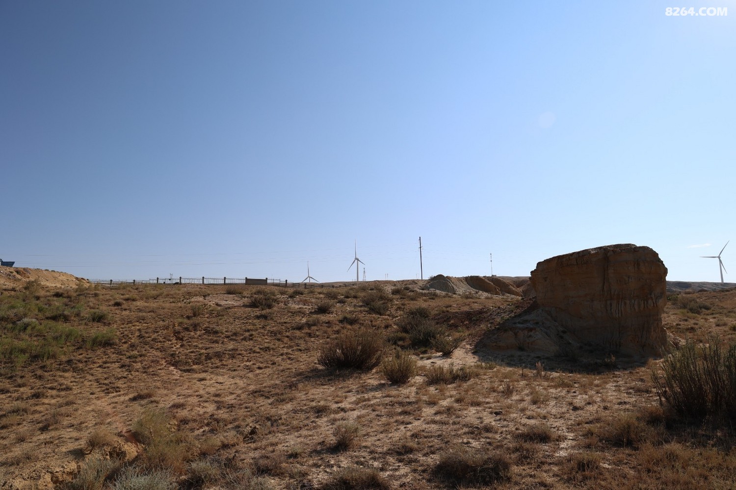 8P5A0303.JPG