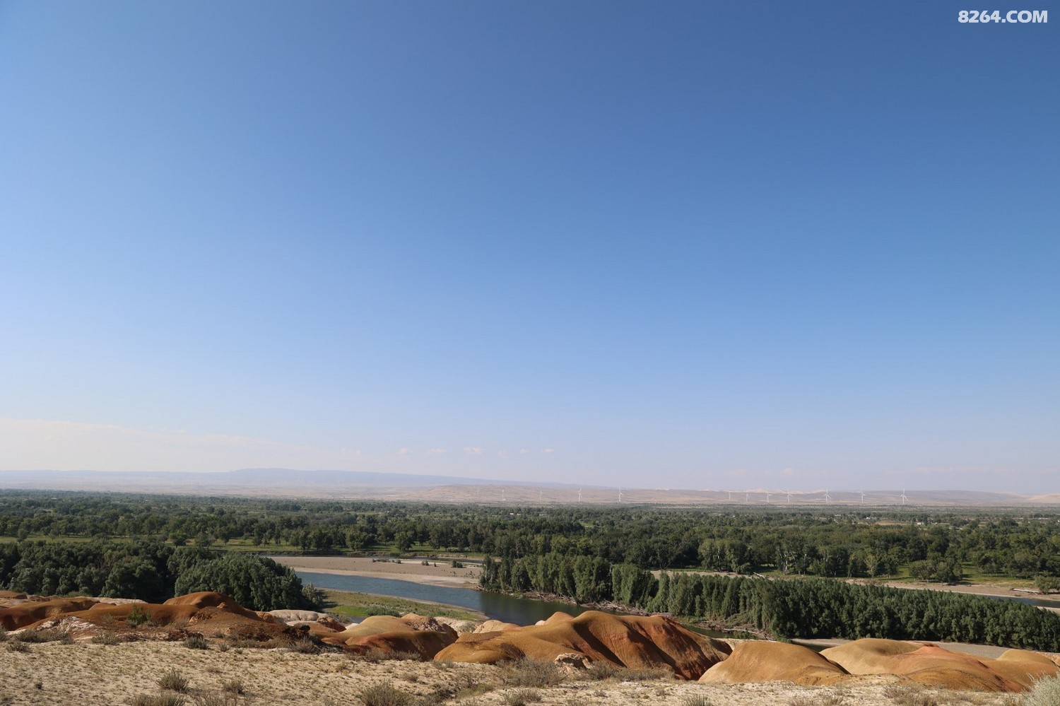 8P5A0305.JPG