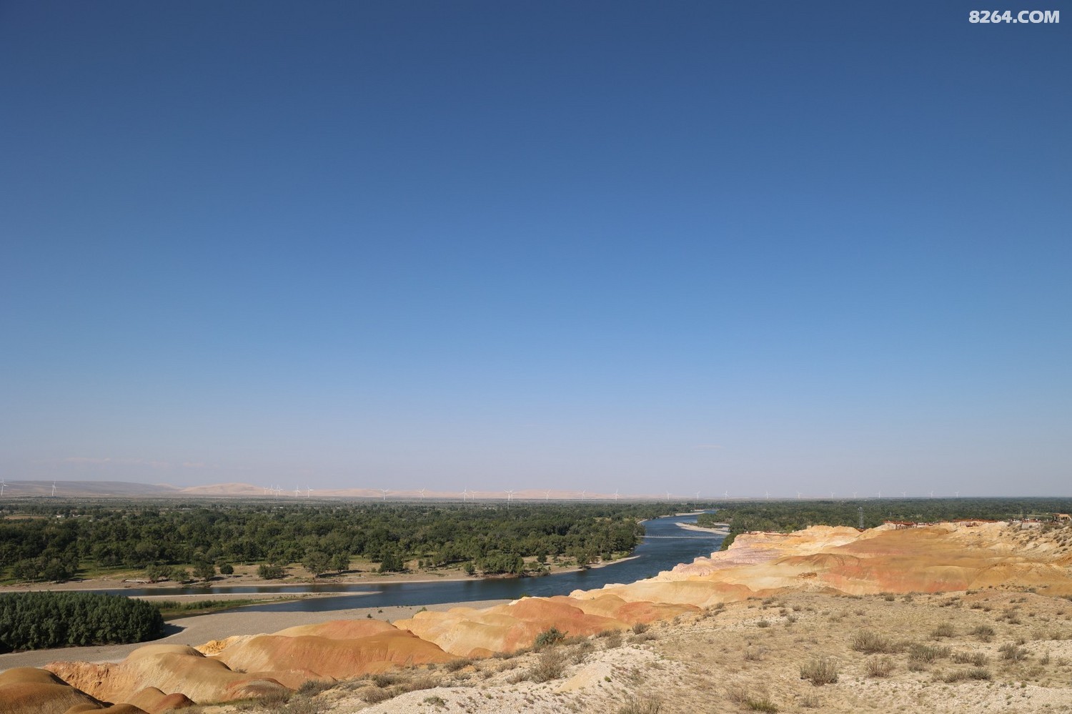8P5A0307.JPG