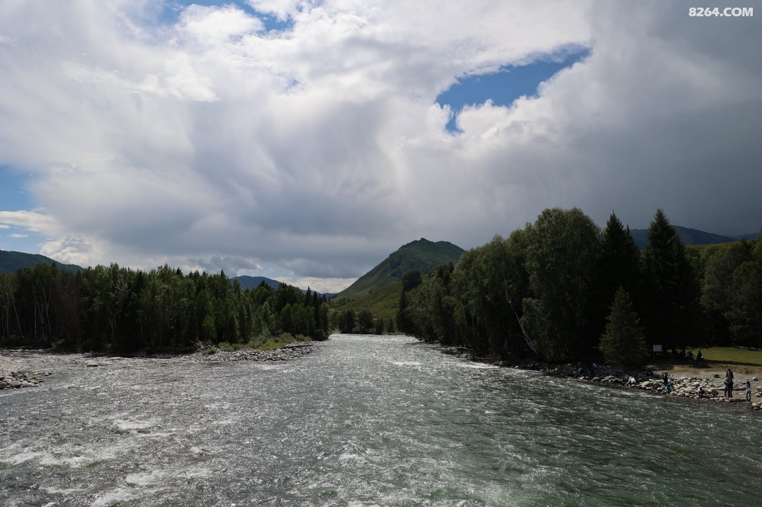 8P5A0318.JPG