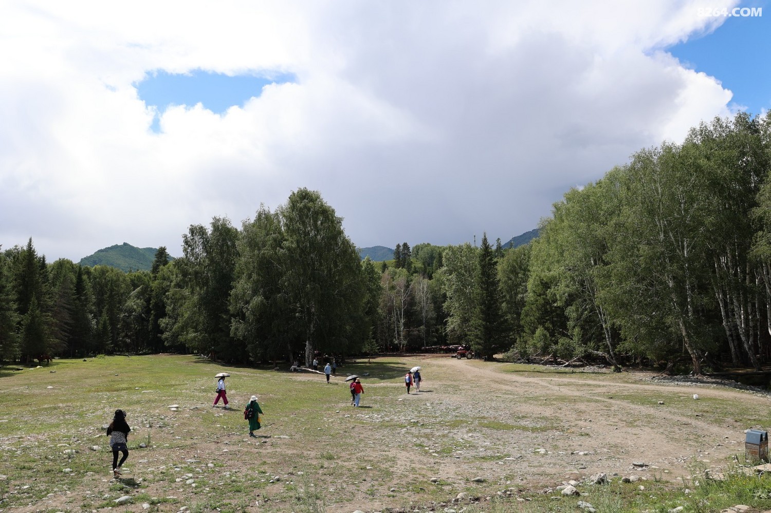 8P5A0319.JPG