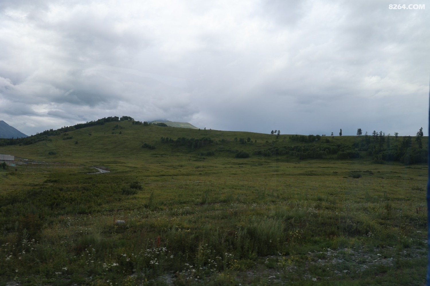8P5A0336.JPG