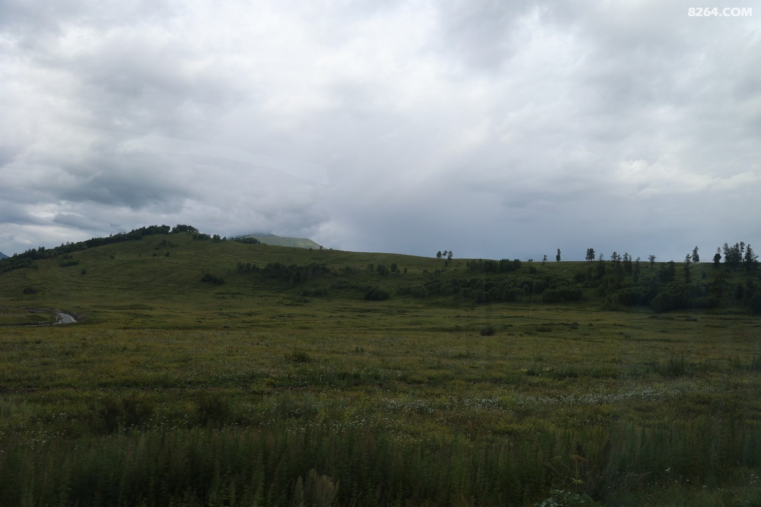 8P5A0337.JPG