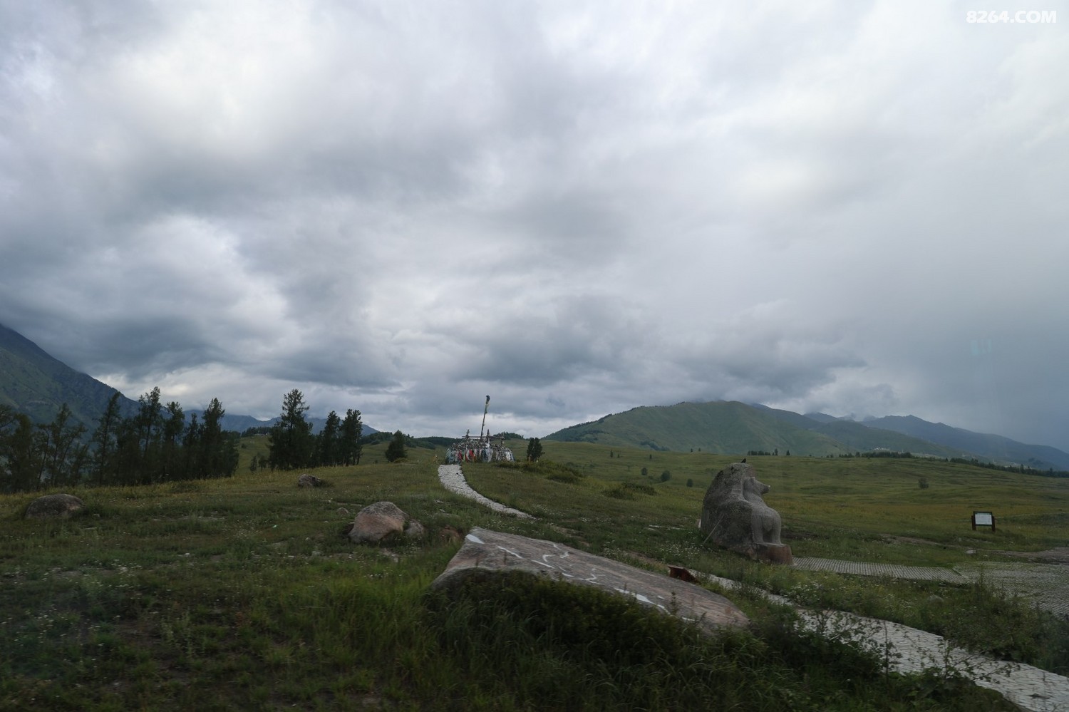 8P5A0340.JPG