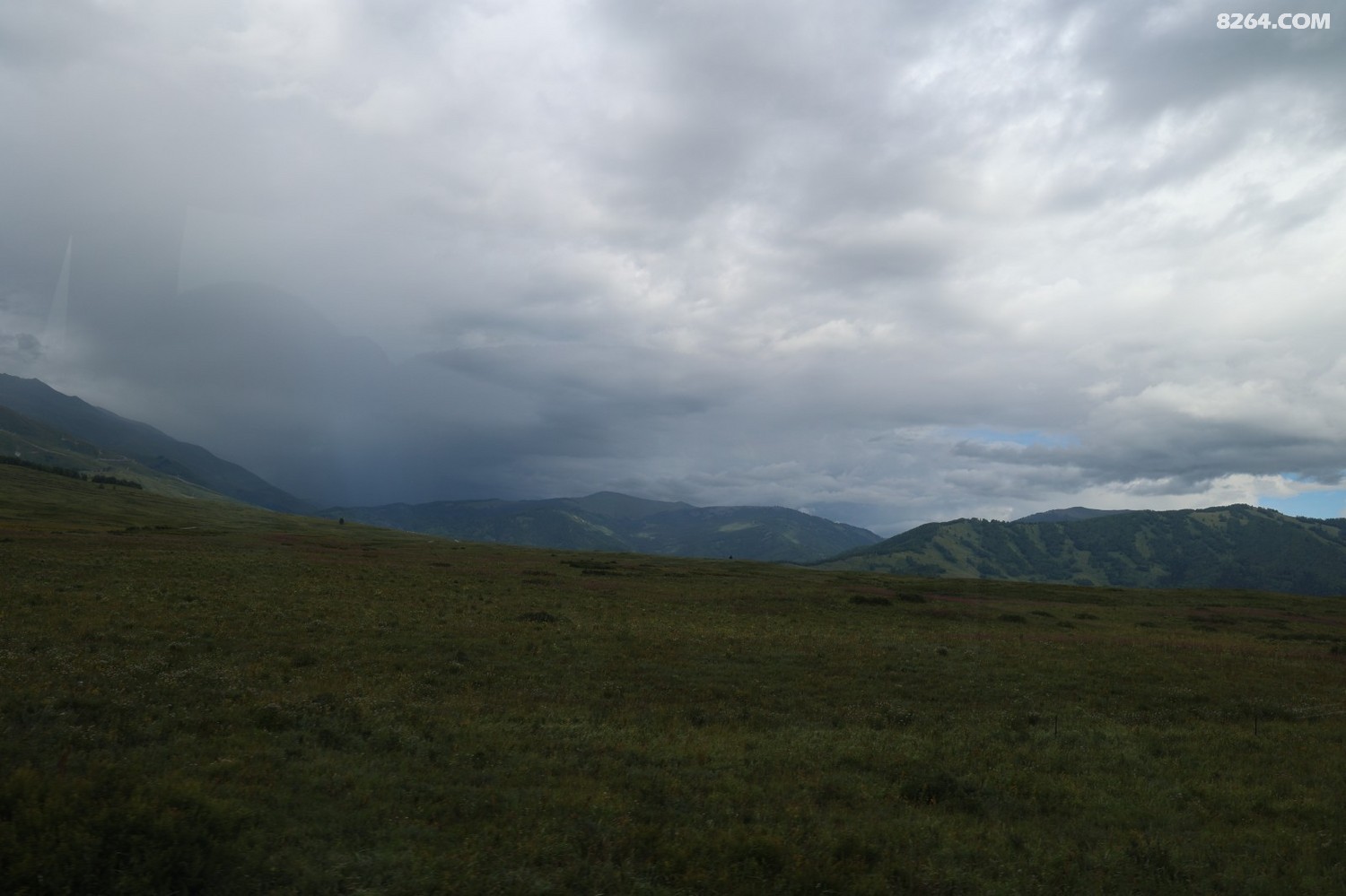 8P5A0342.JPG