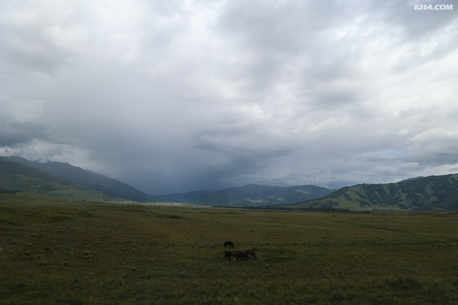 8P5A0345.JPG