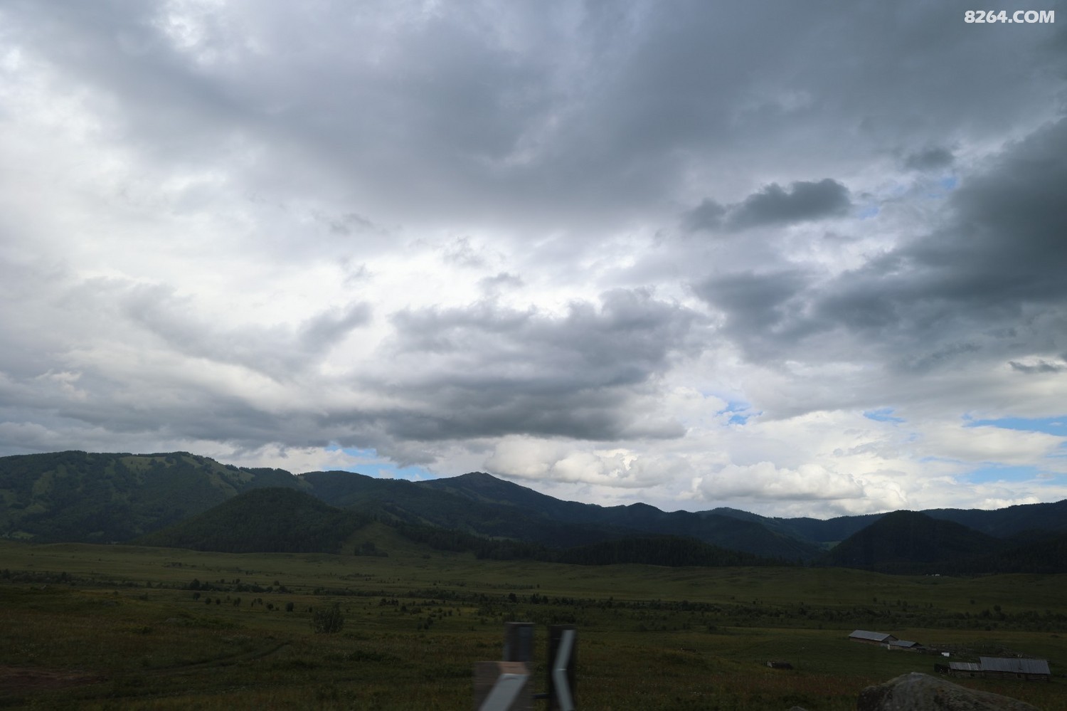 8P5A0348.JPG