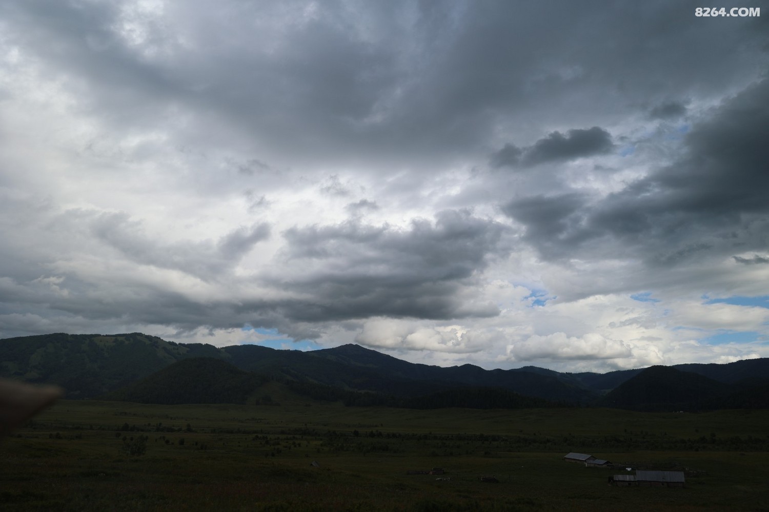 8P5A0349.JPG