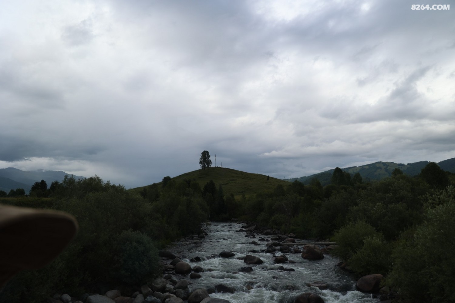 8P5A0350.JPG