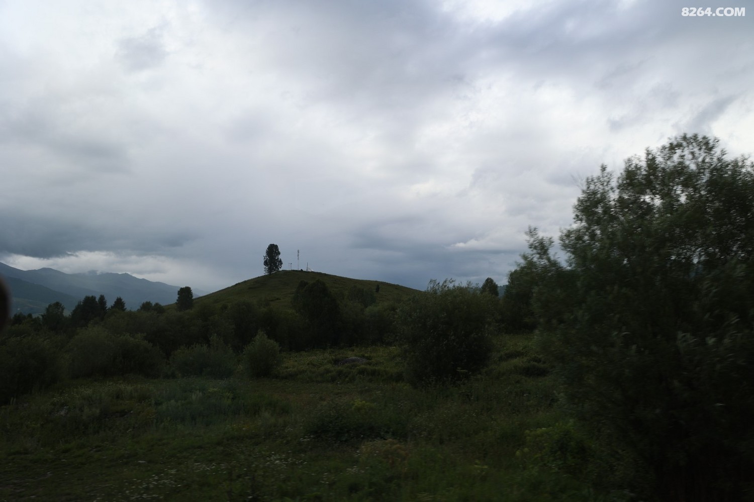 8P5A0352.JPG