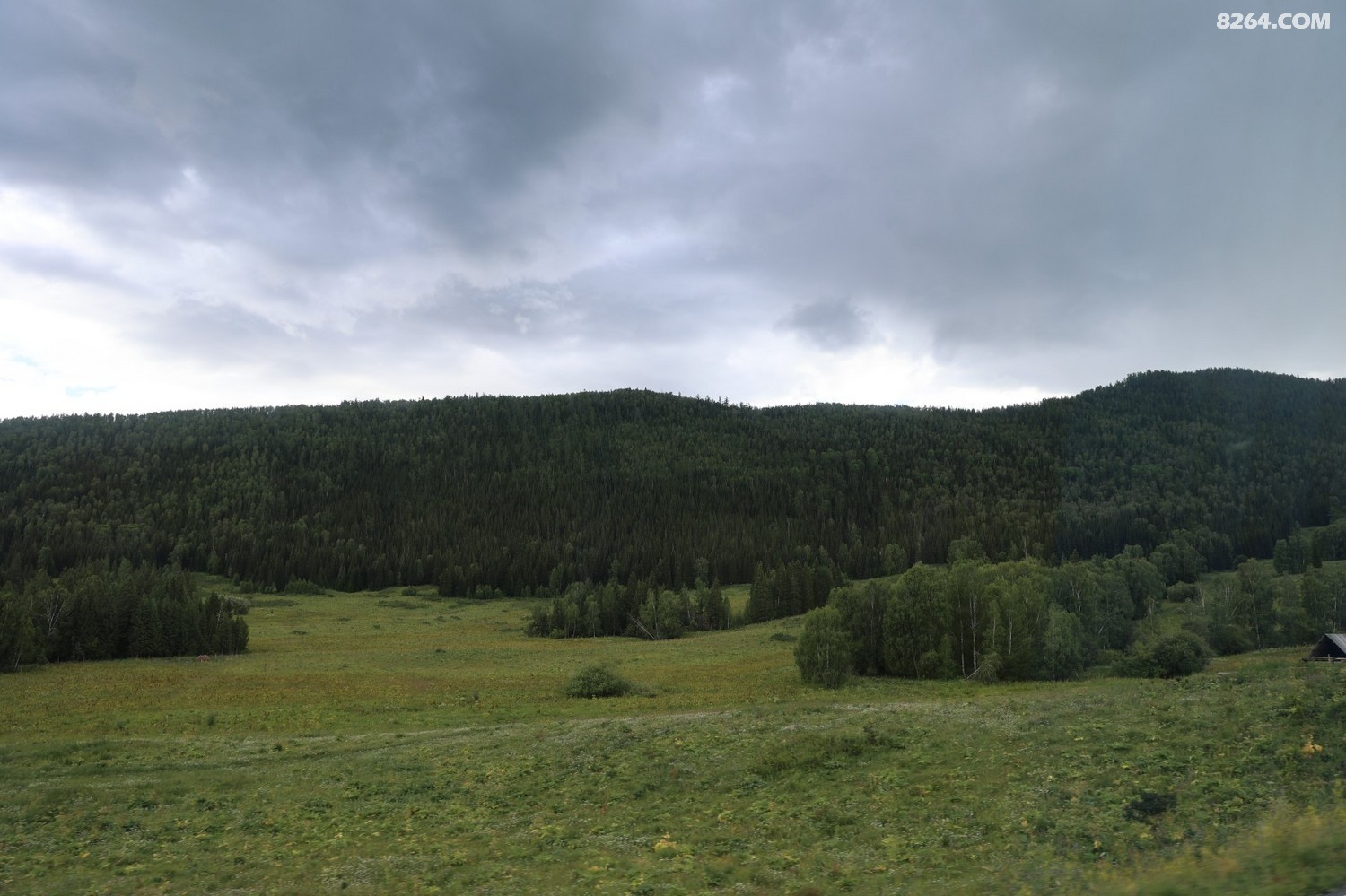 8P5A0354.JPG