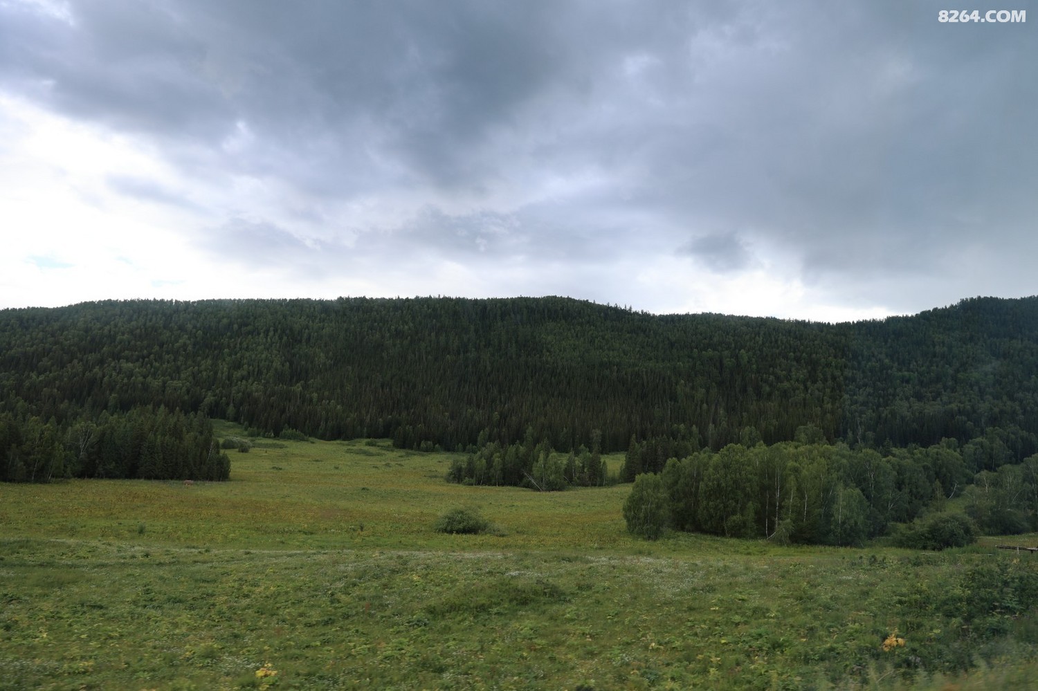 8P5A0355.JPG