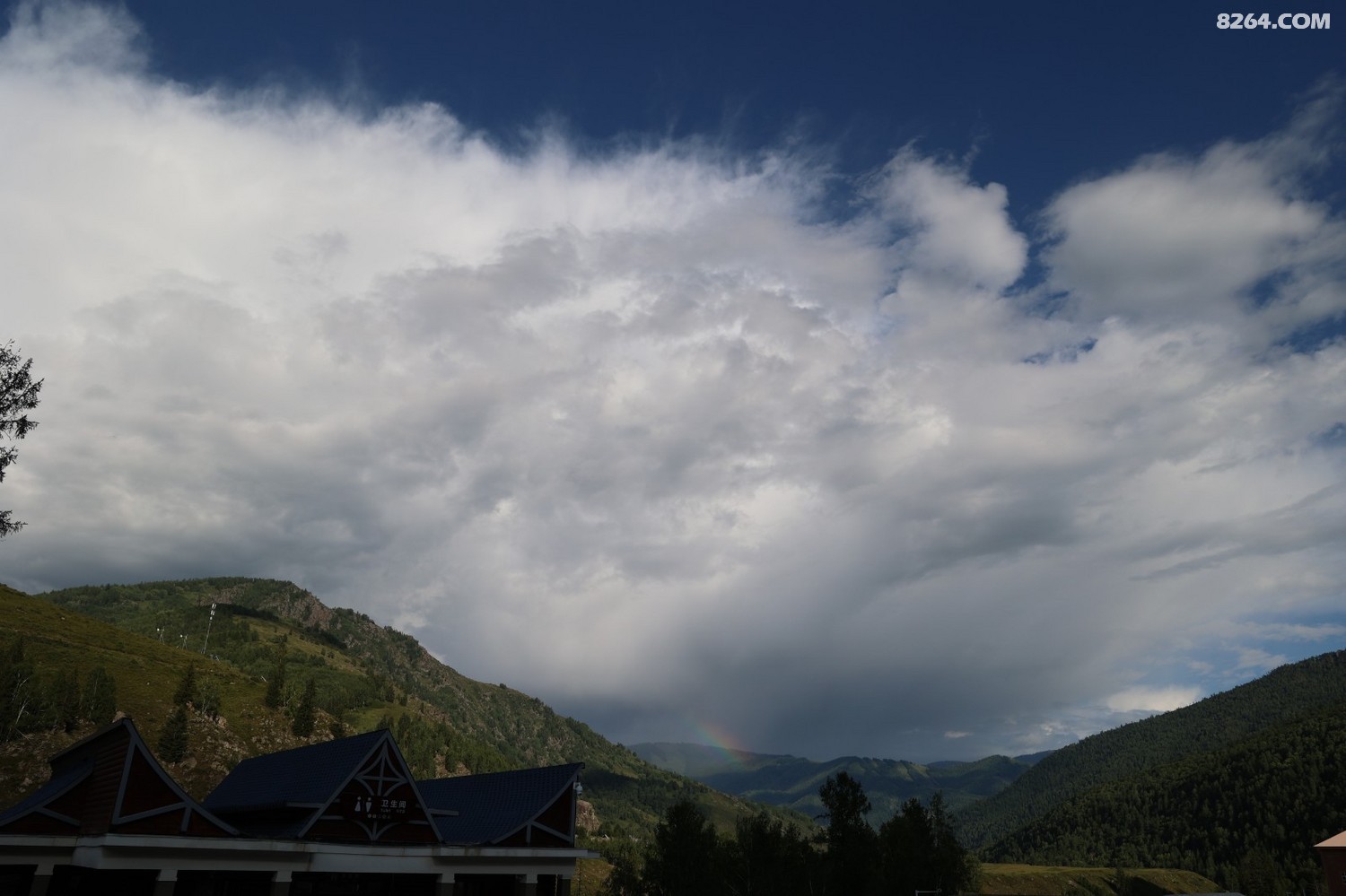 8P5A0356.JPG