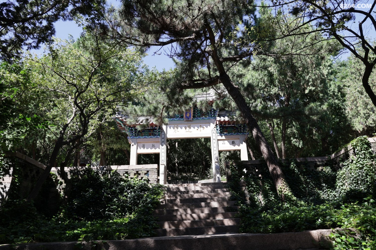 8P5A0906.JPG