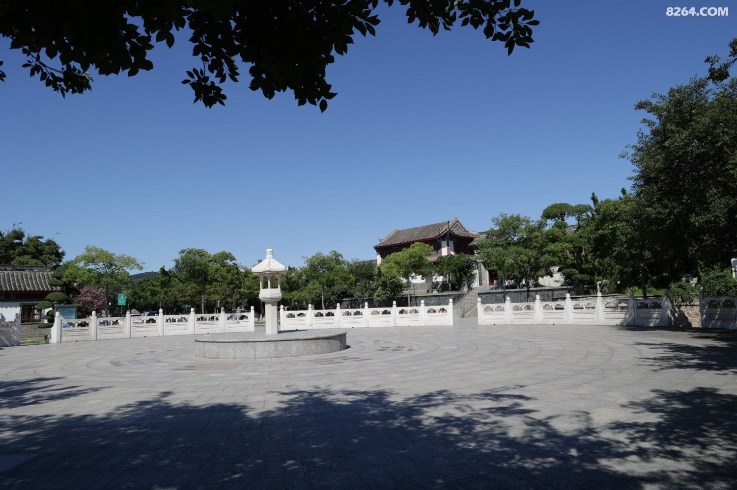 8P5A0907.JPG