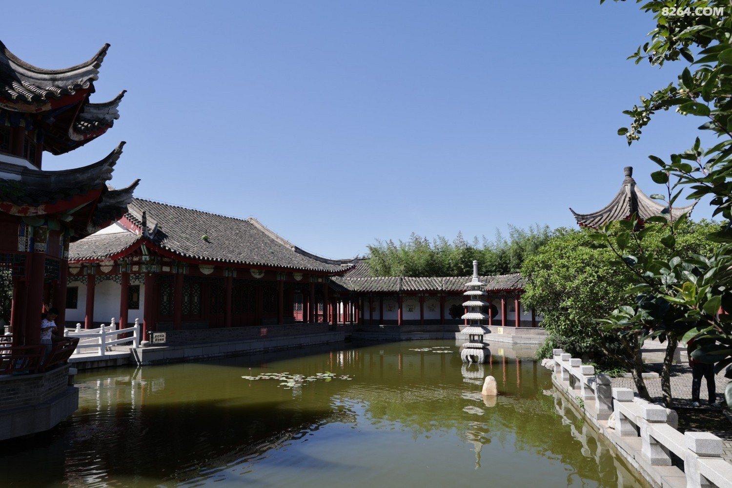 8P5A0913.JPG