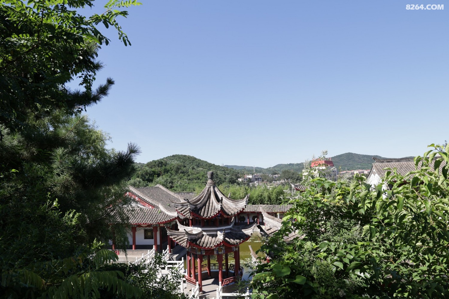 8P5A0914.JPG