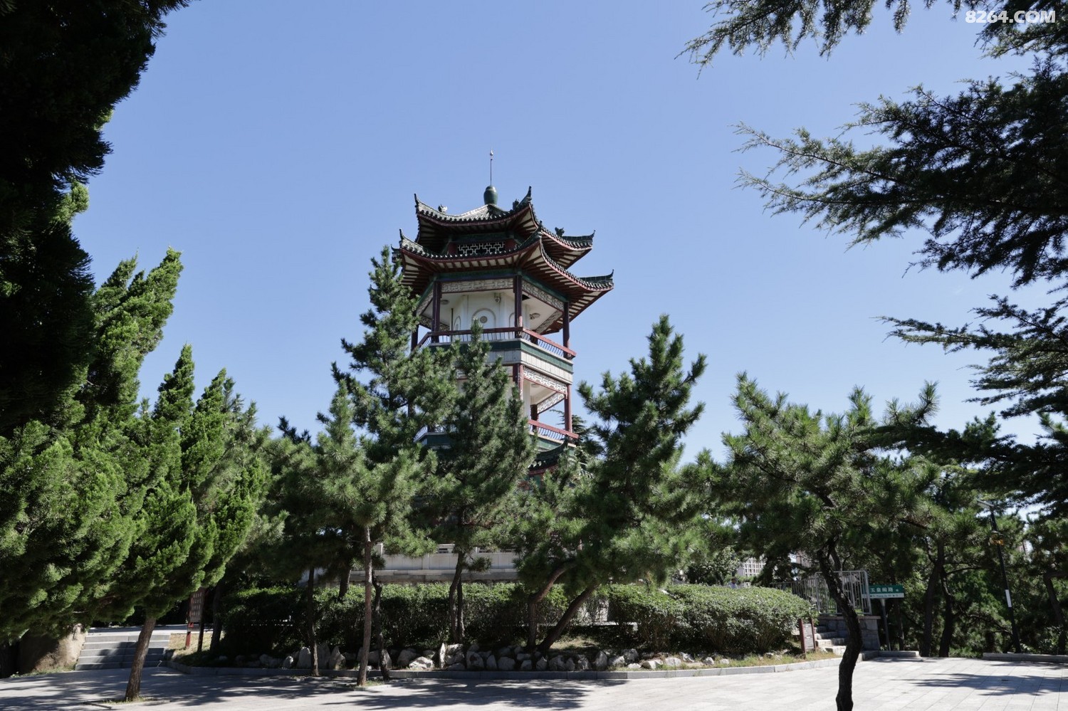 8P5A0920.JPG