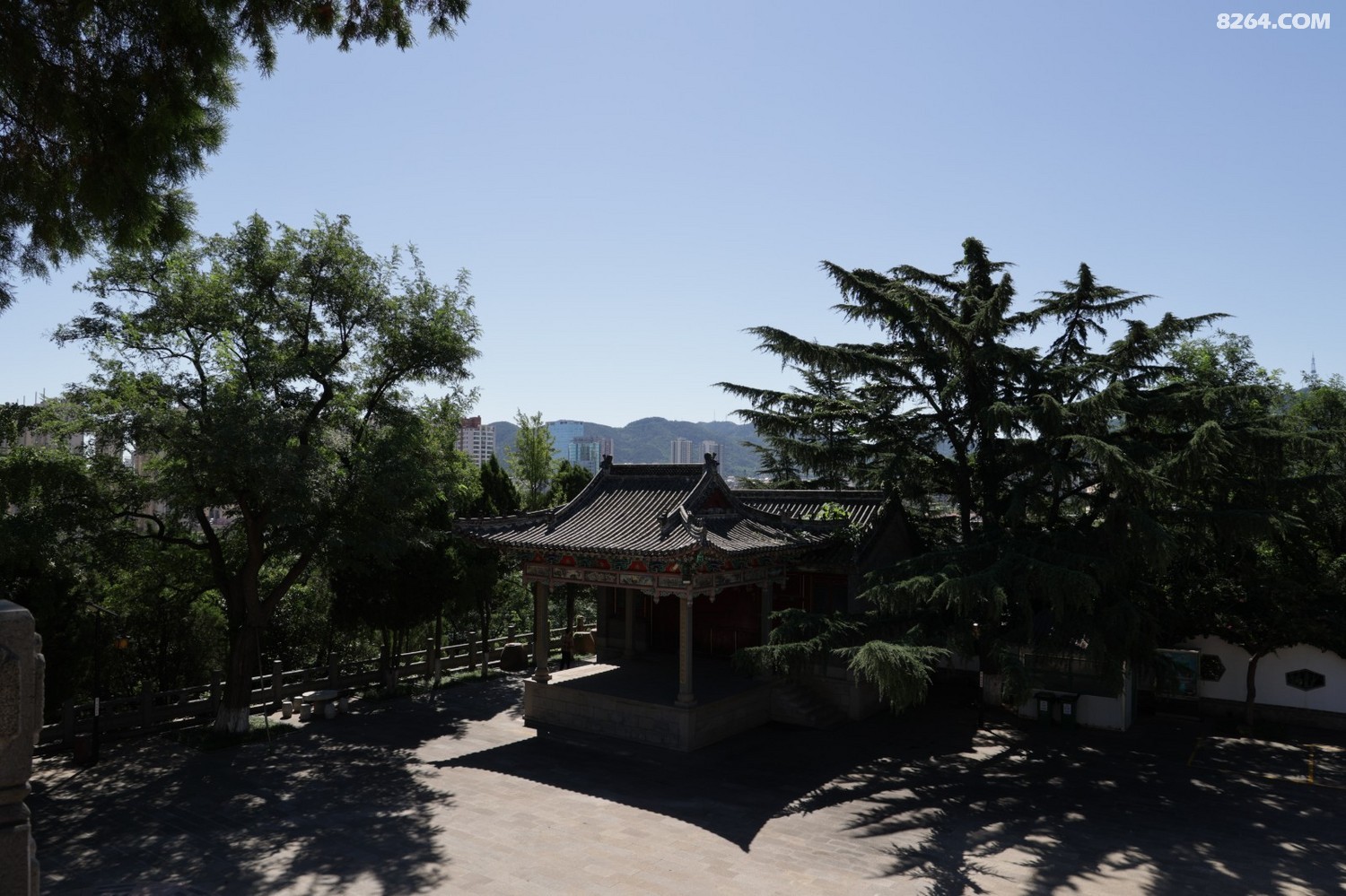 8P5A0921.JPG