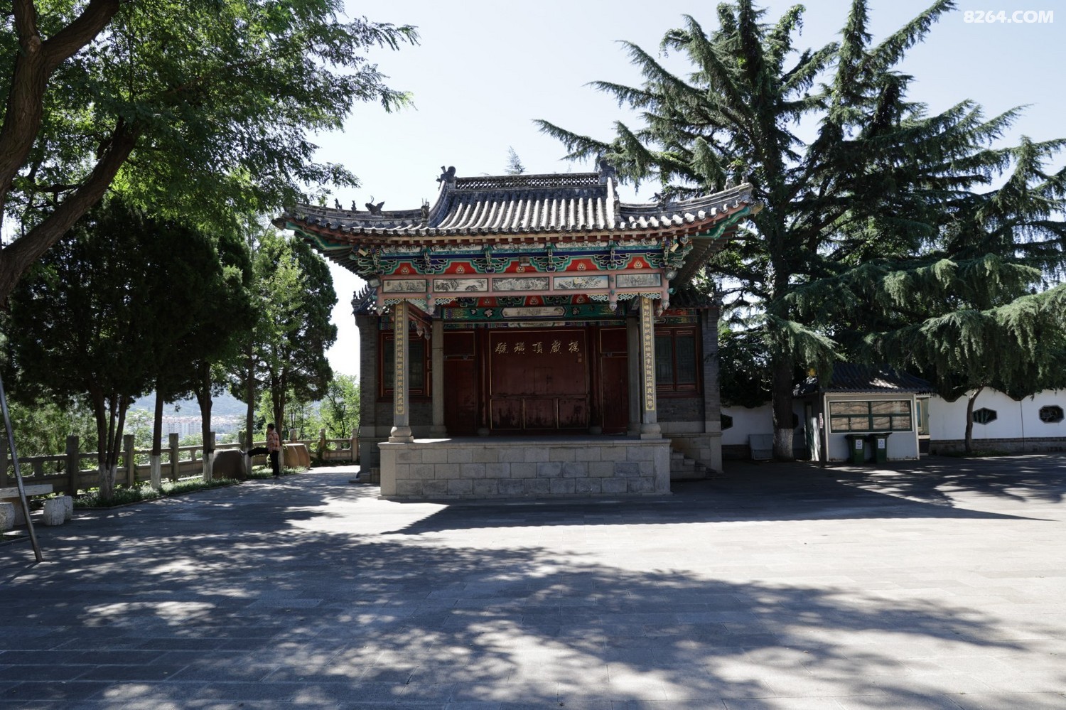 8P5A0923.JPG