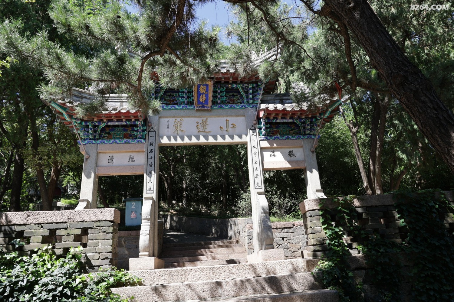8P5A0932.JPG