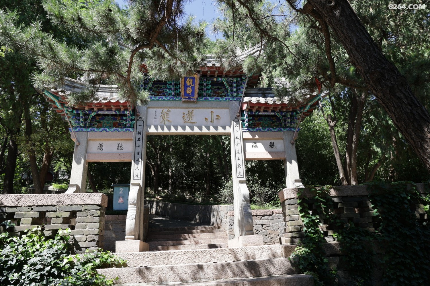 8P5A0933.JPG