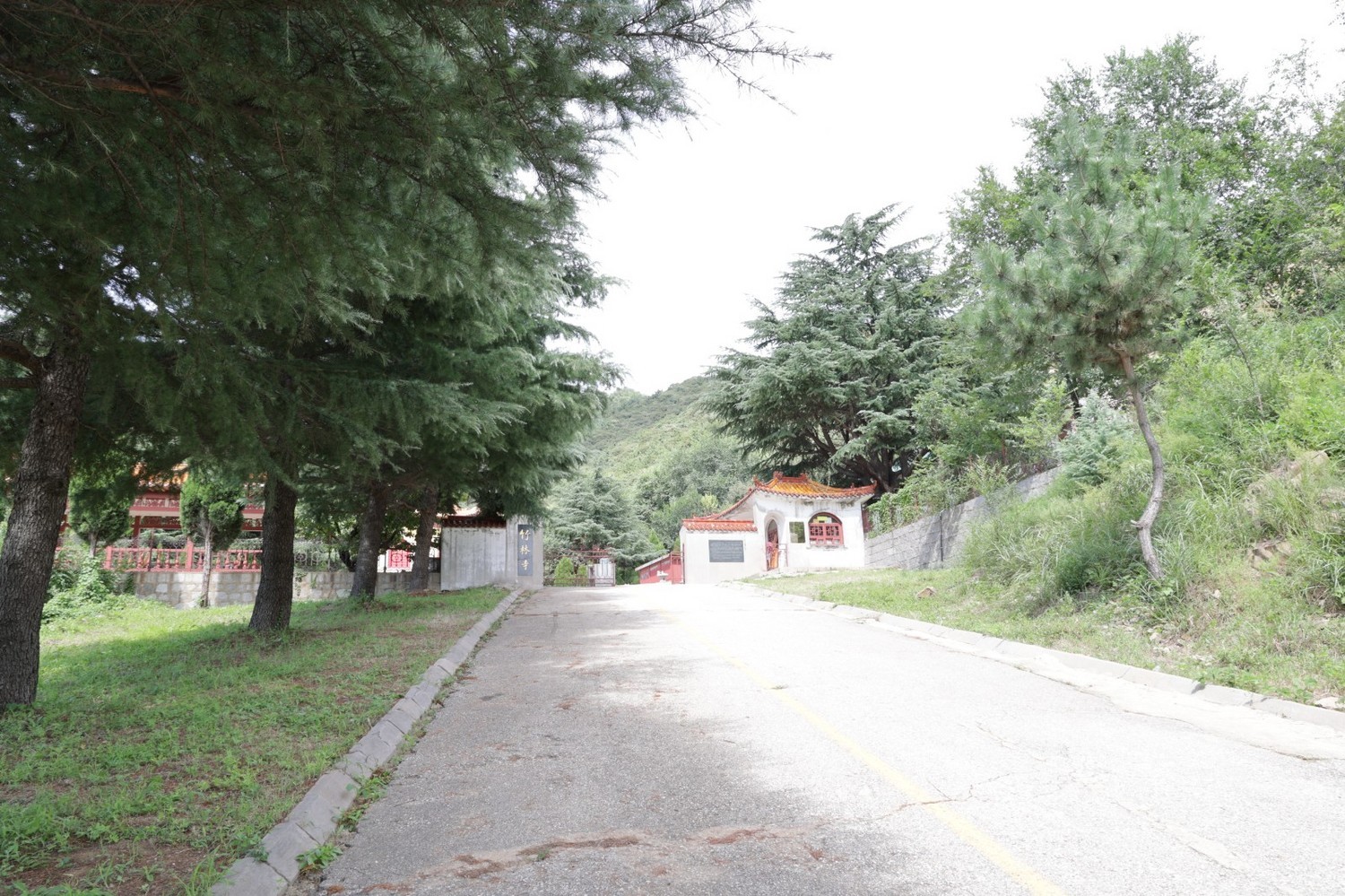 8P5A0935.JPG
