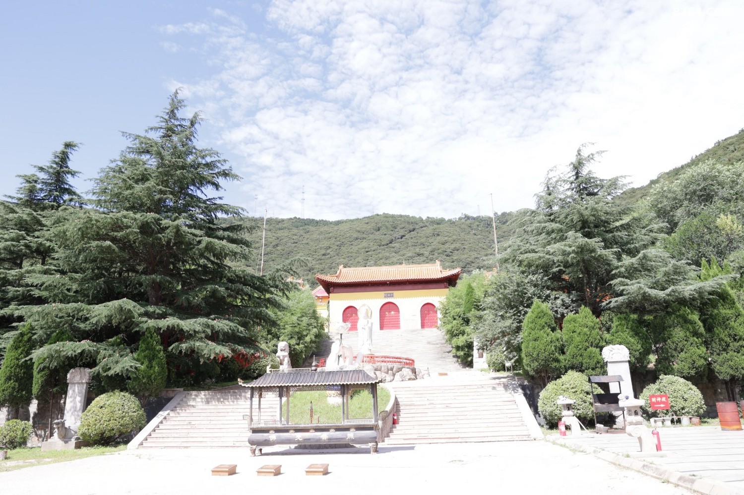 8P5A0938.JPG