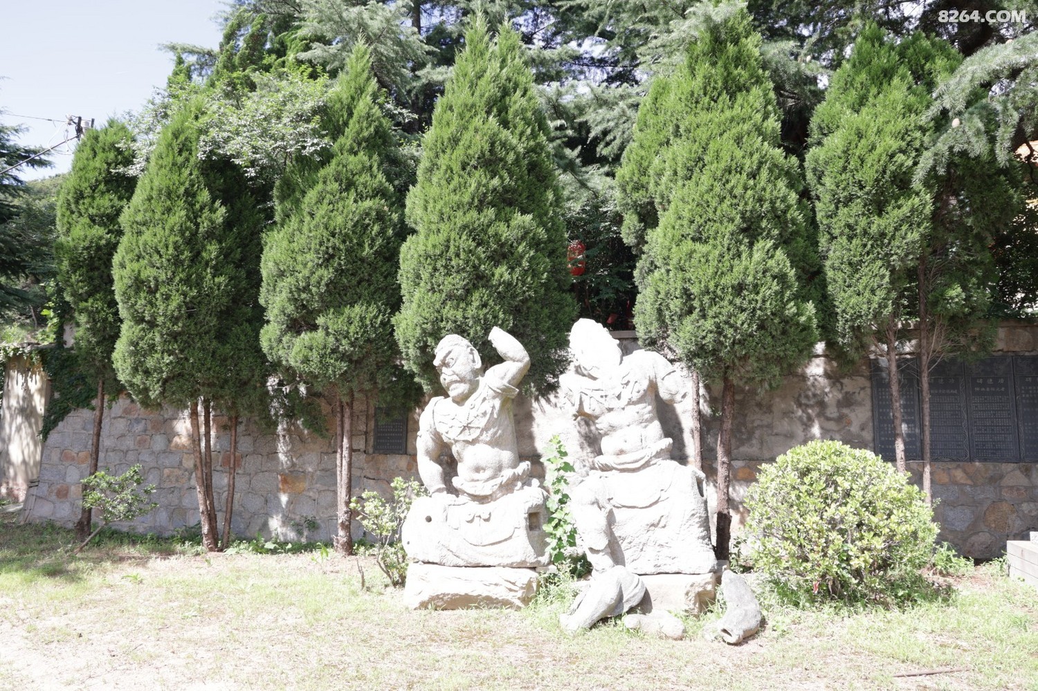 8P5A0939.JPG